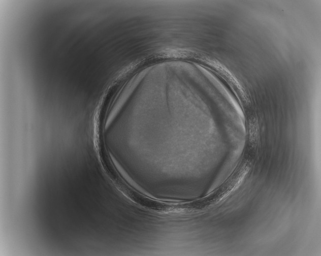 X0000102540581200809051534