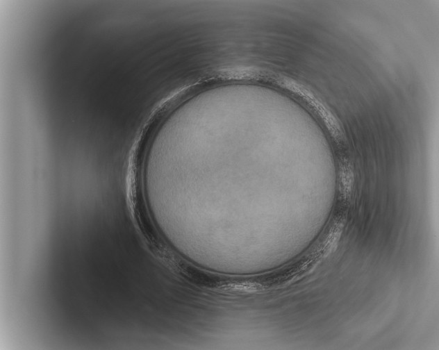 X0000102540583200809051534