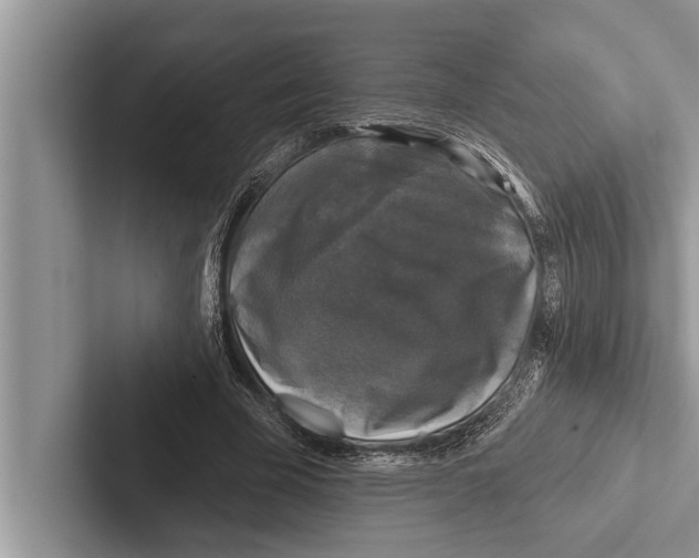 X0000102540585200809051534