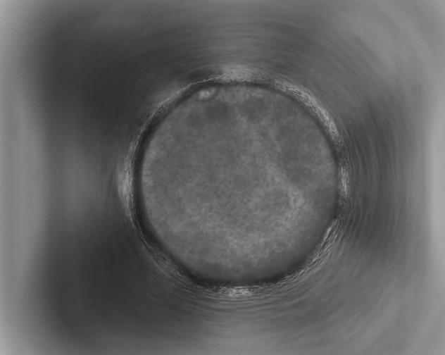 X0000102540588200809051534