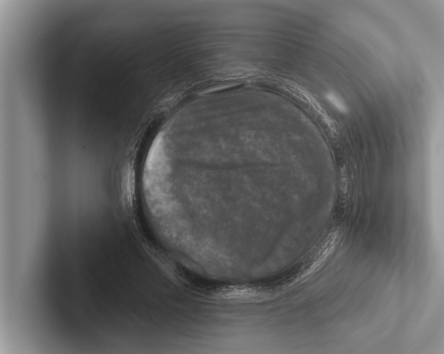 X0000102540589200809051534
