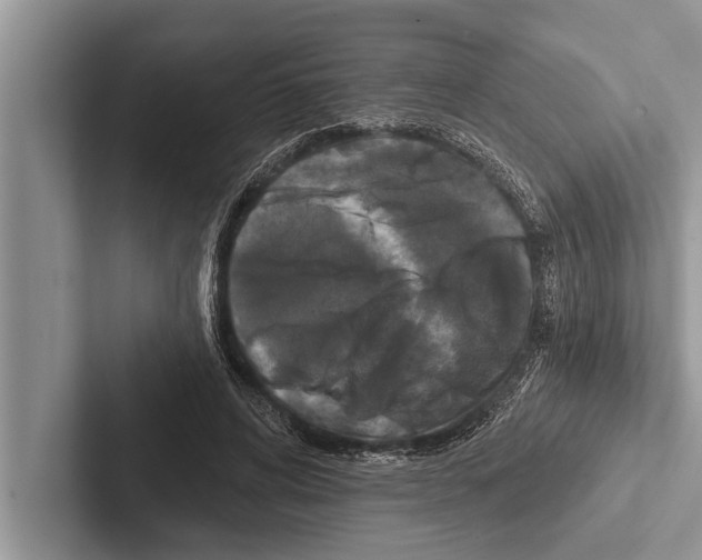 X0000102540592200809051534