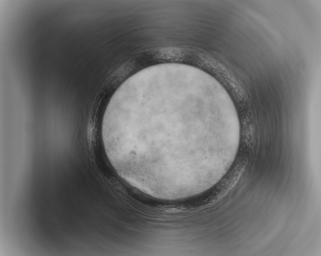 X0000102540597200809051534