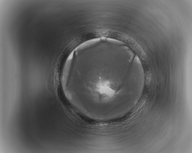 X0000102540598200809051534