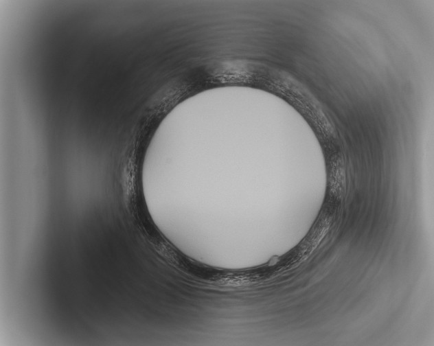 X0000102540604200809051534