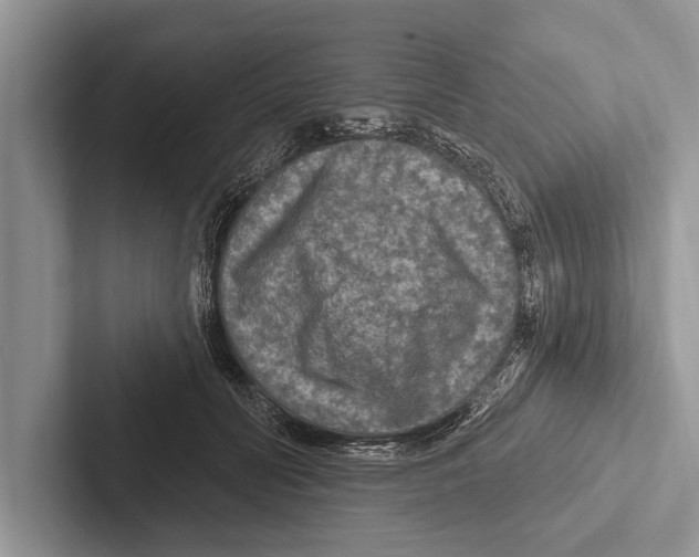 X0000102540606200809051534