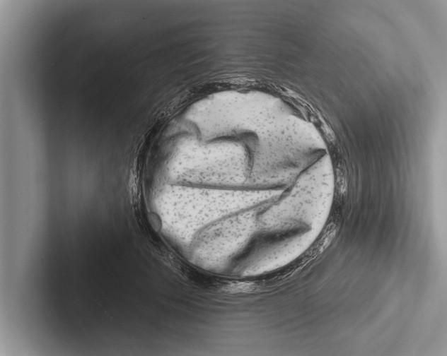 X0000102540609200809051534