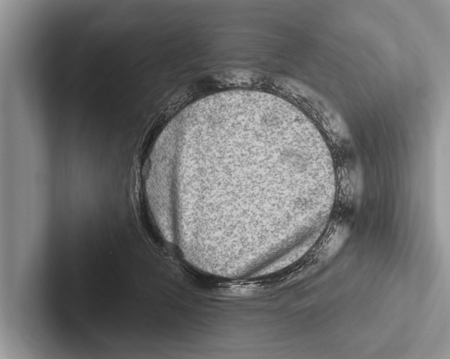 X0000102540612200809051534
