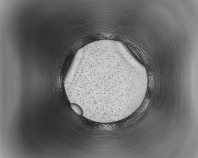 X0000102540613200809051534