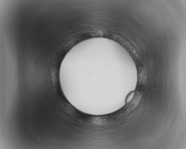 X0000102540616200809051534