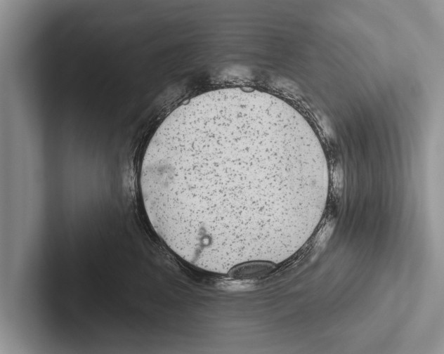 X0000102540617200809051534