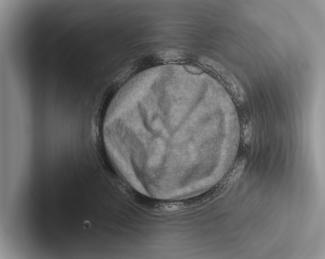 X0000102540618200809051534