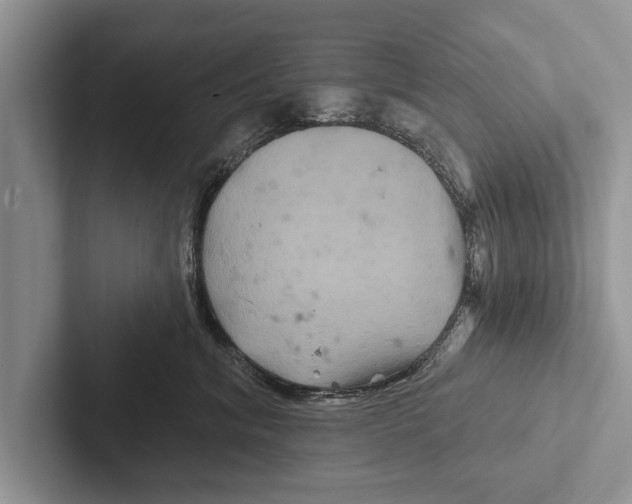 X0000102540620200809051534