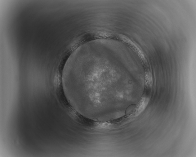 X0000102540621200809051534