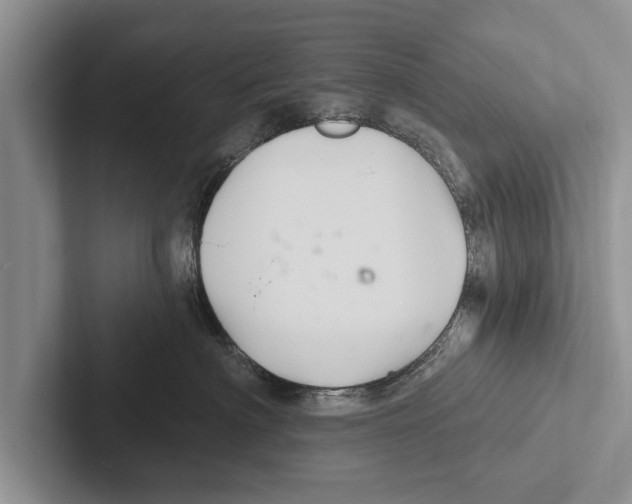 X0000102540622200809051534