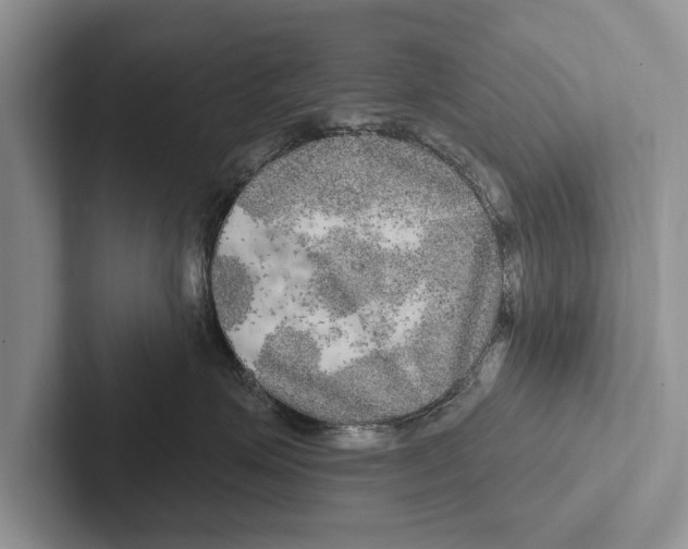 X0000102540623200809051534