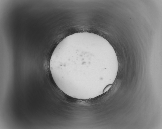 X0000102540624200809051534