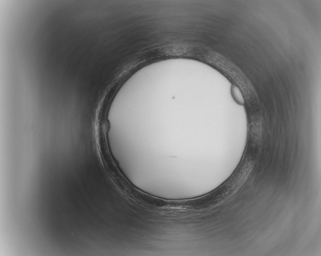 X0000102540626200809051533