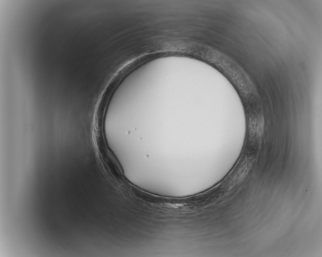 X0000102540628200809051533