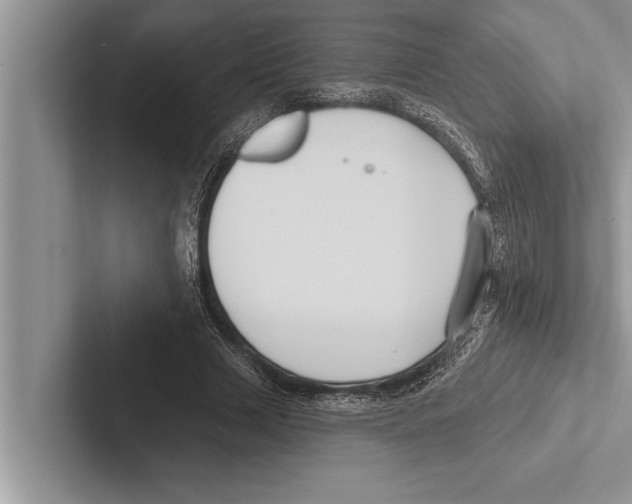 X0000102540633200809051533