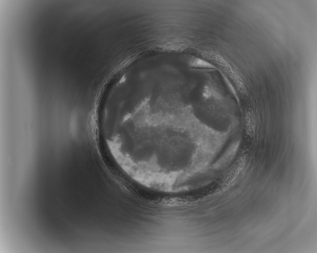 X0000102540634200809051533