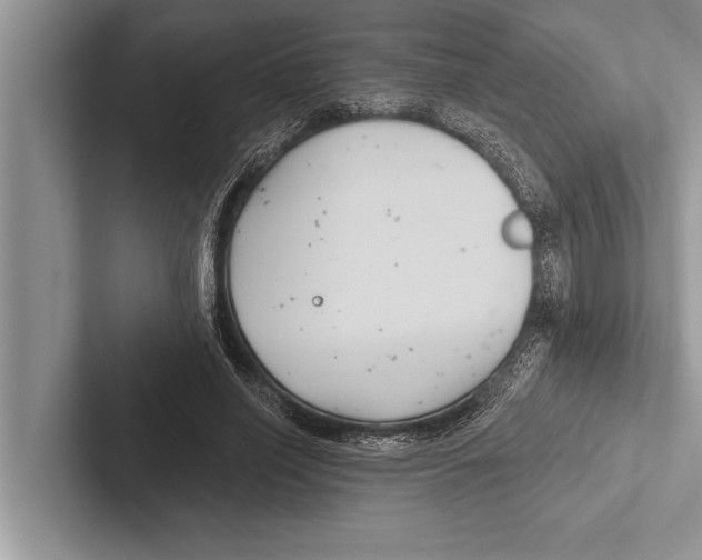 X0000102540638200809051533