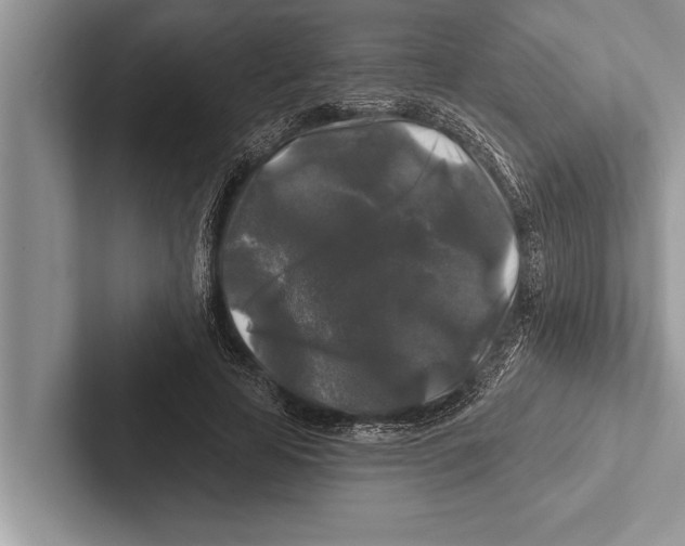X0000102540641200809051533