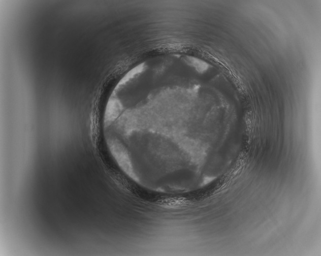 X0000102540642200809051533