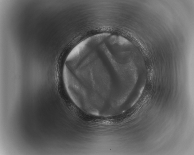 X0000102540643200809051533