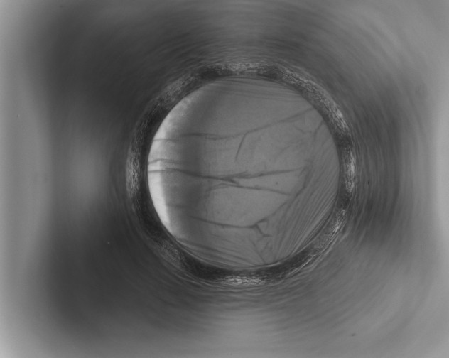 X0000102540644200809051533