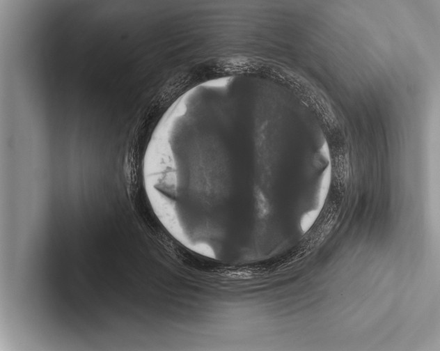 X0000102540653200809051534