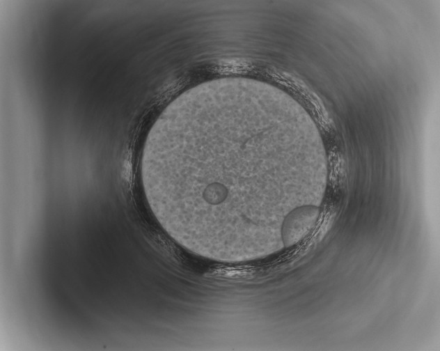X0000102540655200809051534