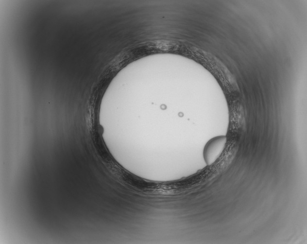 X0000102540656200809051534