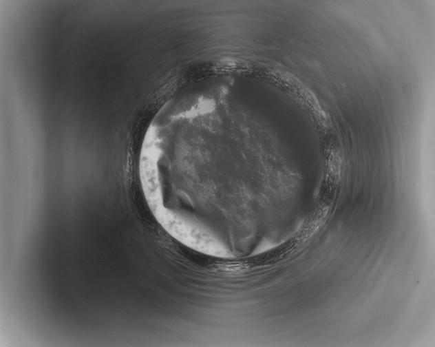 X0000102540659200809051534
