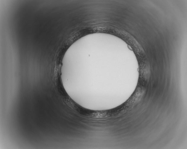 X0000102540660200809051534