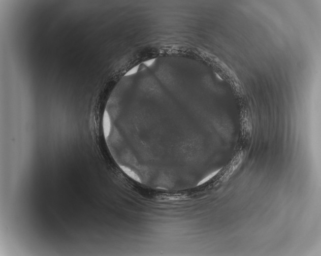 X0000102540661200809051534