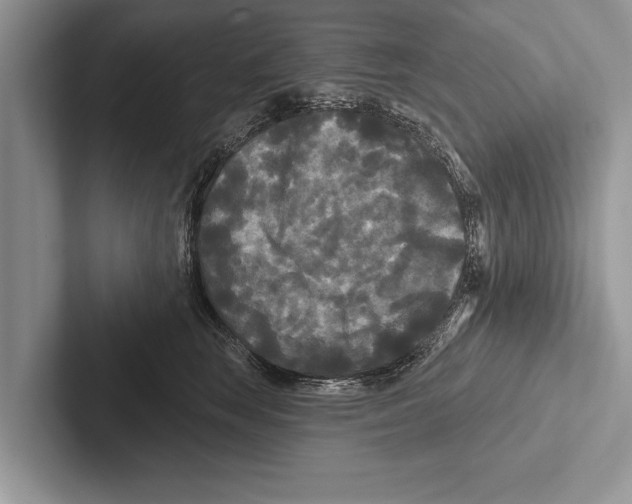 X0000102540663200809051534