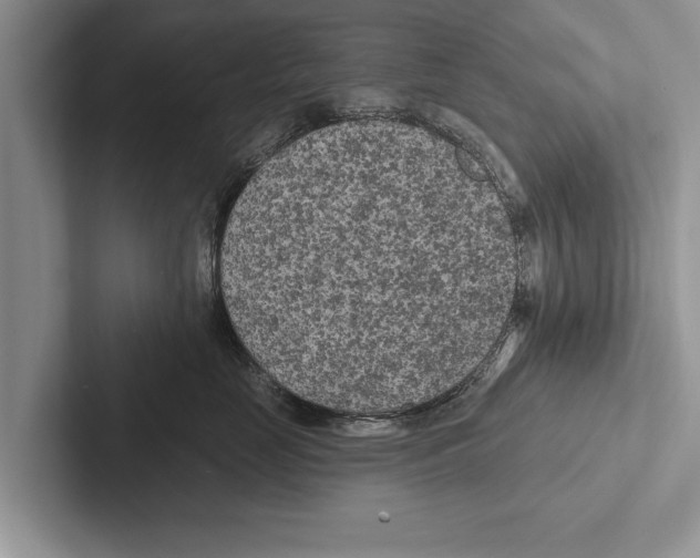 X0000102540669200809051534