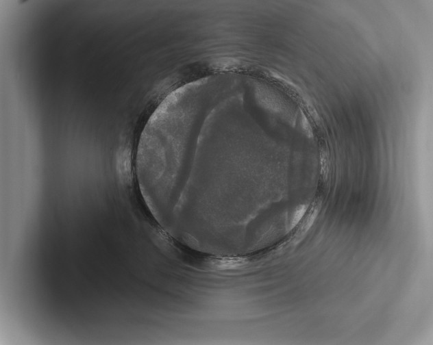 X0000102540670200809051534