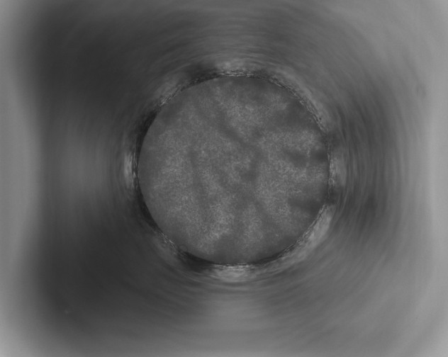 X0000102540671200809051534