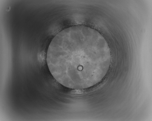 X0000102540672200809051534