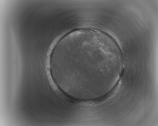 X0000102540673200809051533