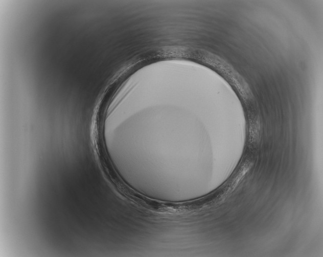 X0000102540674200809051533