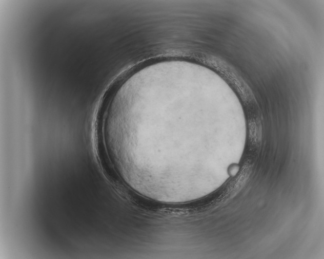 X0000102540676200809051533