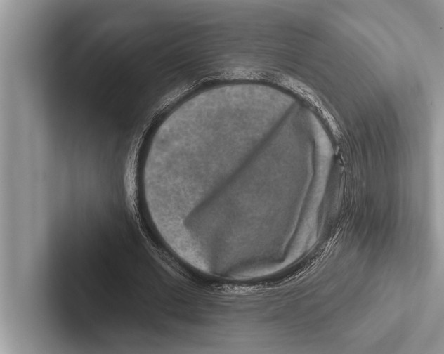 X0000102540677200809051533