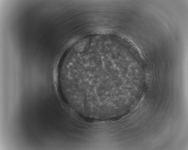 X0000102540679200809051533