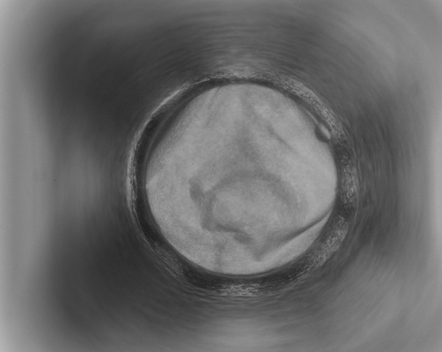 X0000102540680200809051533