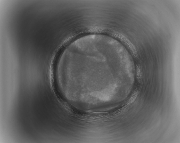 X0000102540684200809051533
