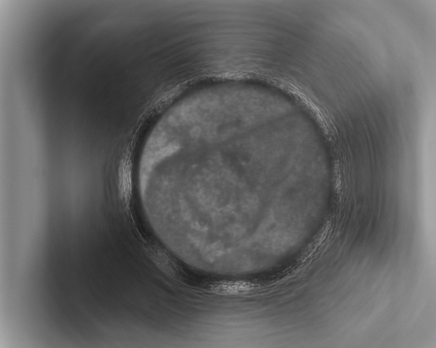 X0000102540685200809051533