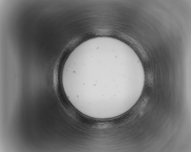 X0000102540686200809051533